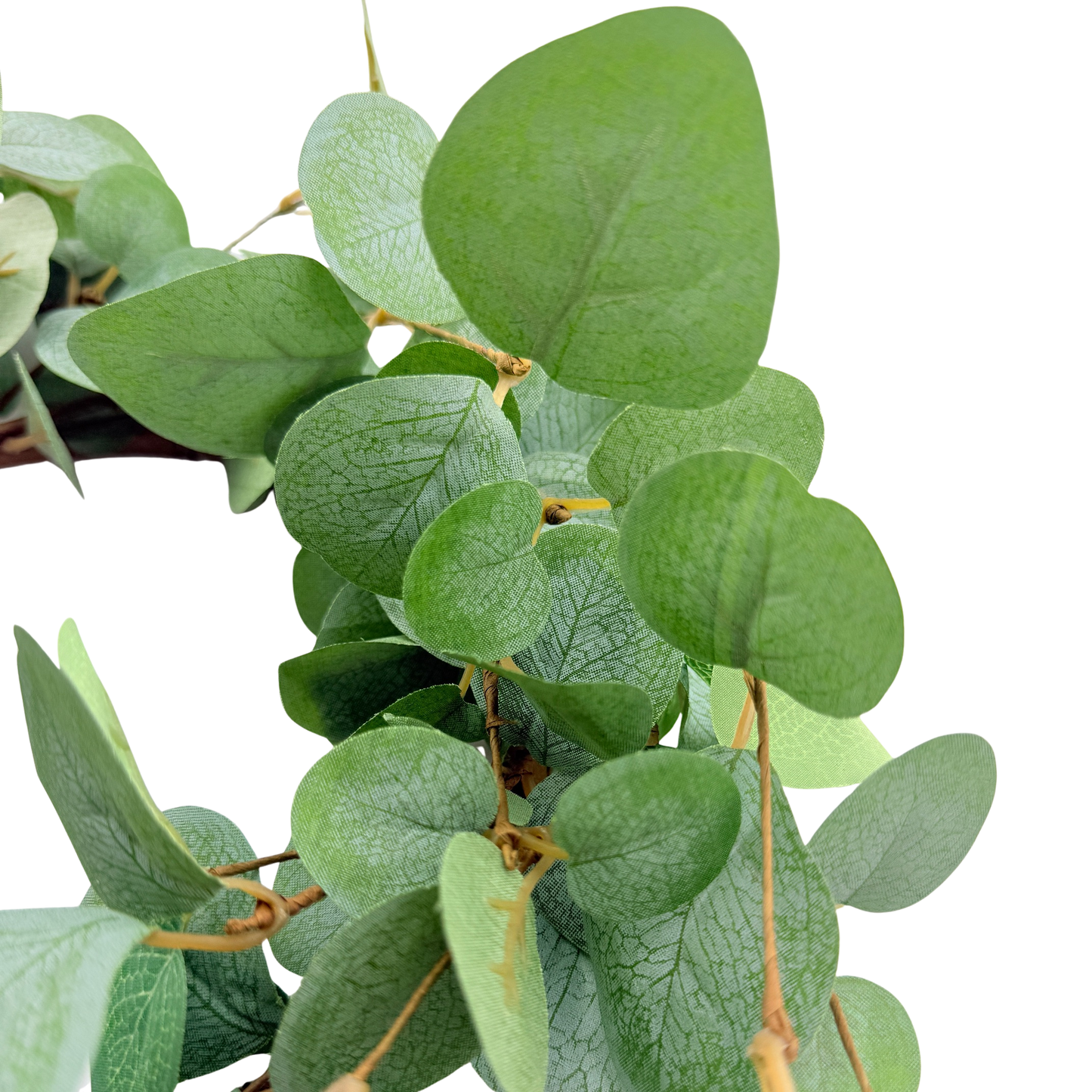 Basic Eucalyptus Large Ring