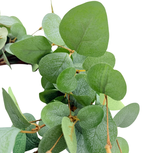 Basic Eucalyptus Large Ring