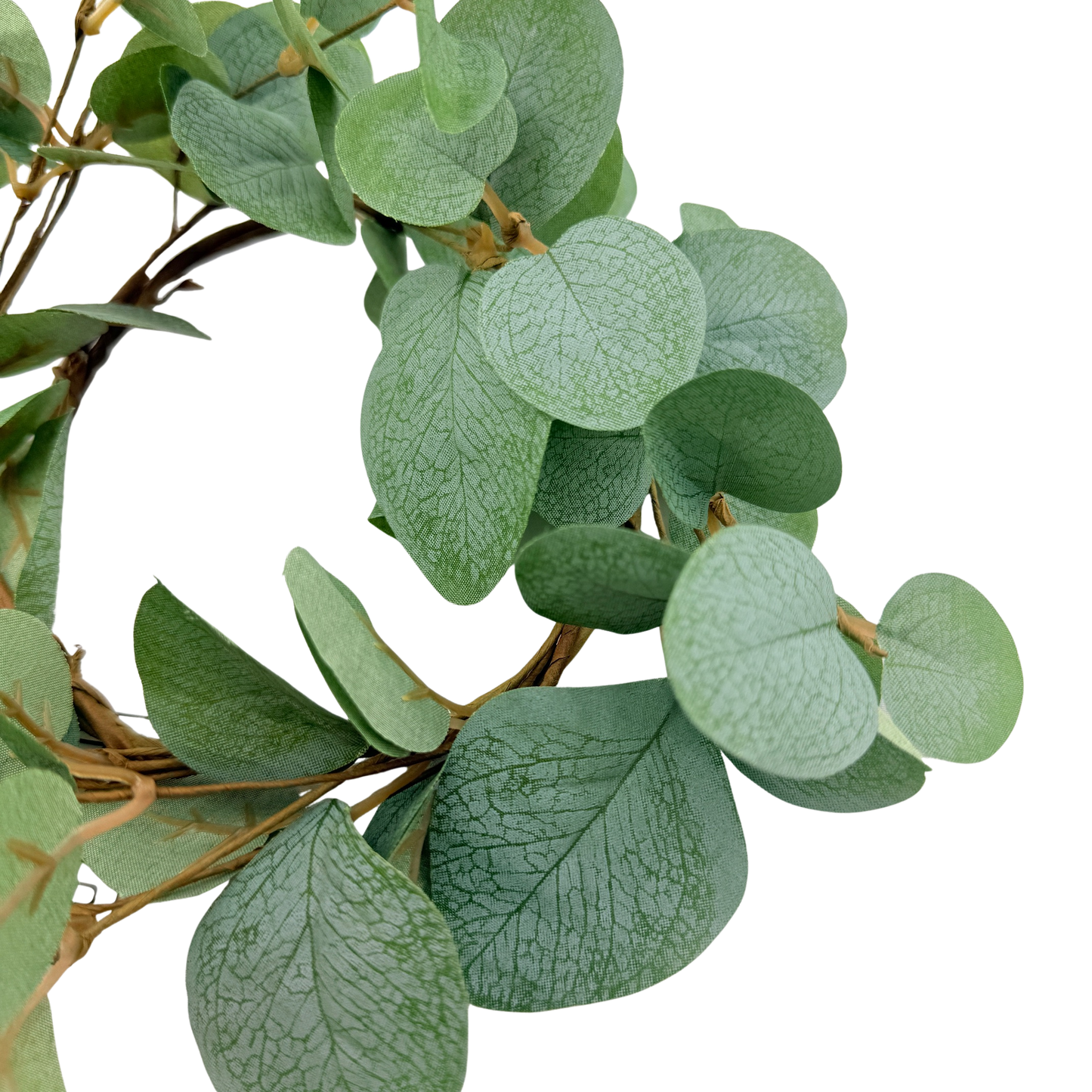 Basic Eucalyptus Small Ring