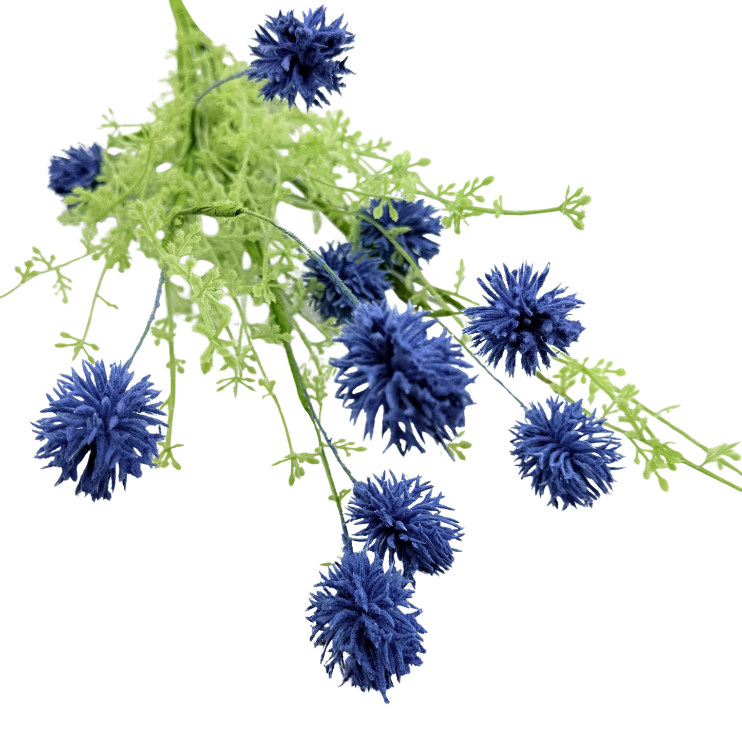 Blue Thistle Stem