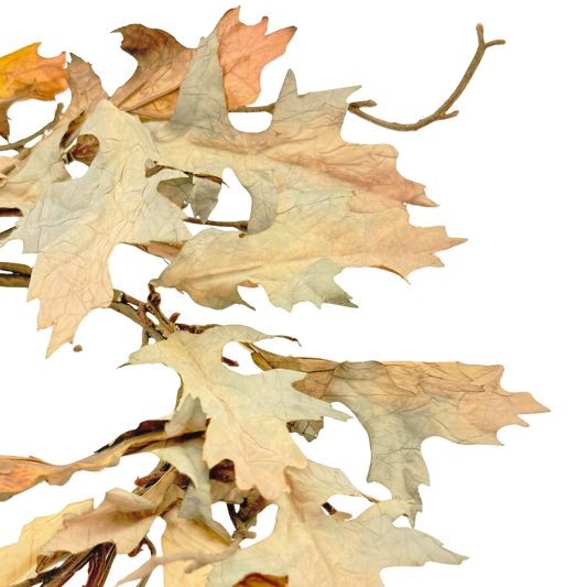 Fall Oak Leaf Candle Ring