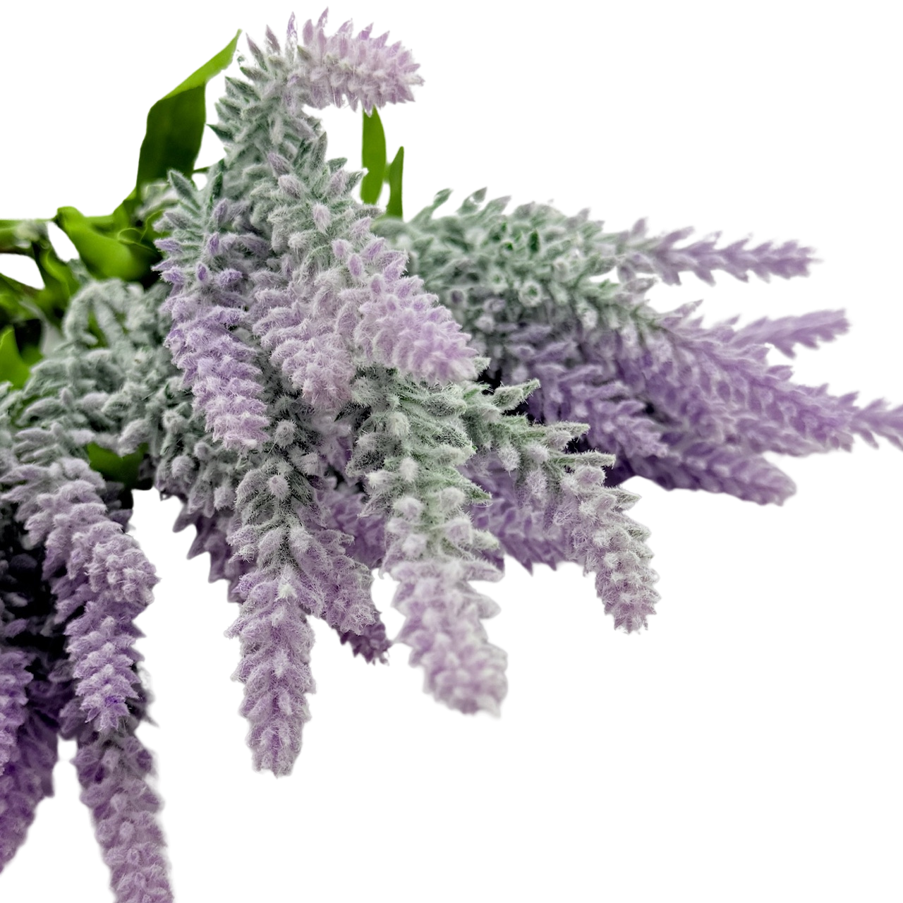 Lavender Stem