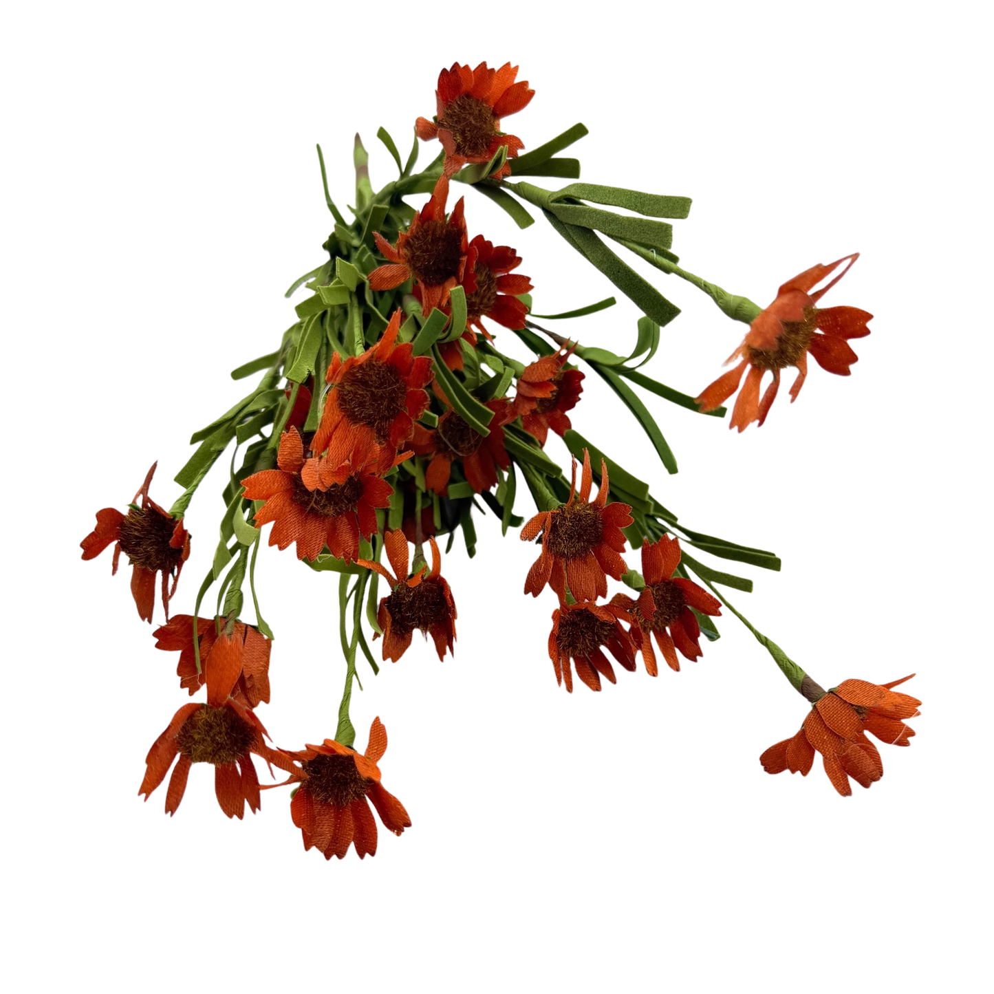 Orange Daisy Stem