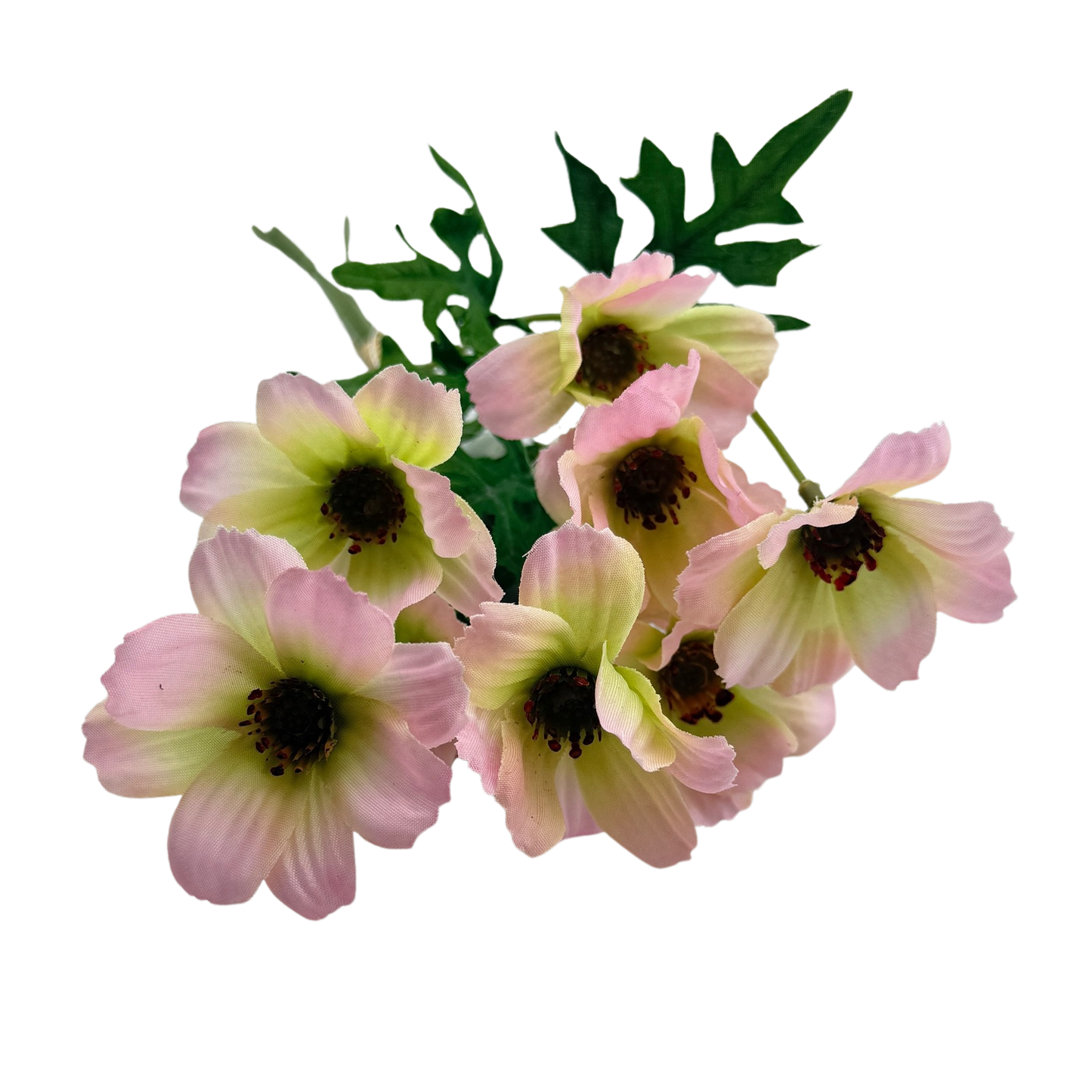 Pink Dogwood Bundle