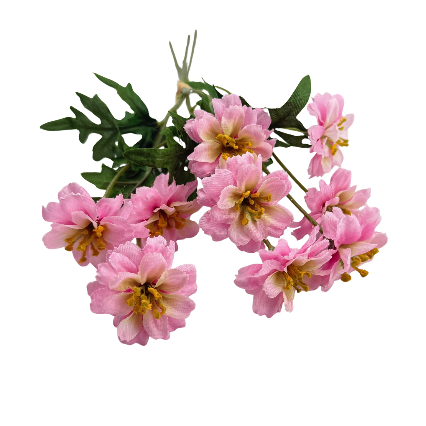 Pink Mini Carnation Bundle