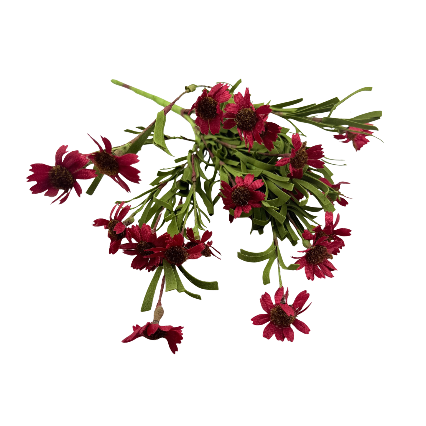 Red Daisy Stem