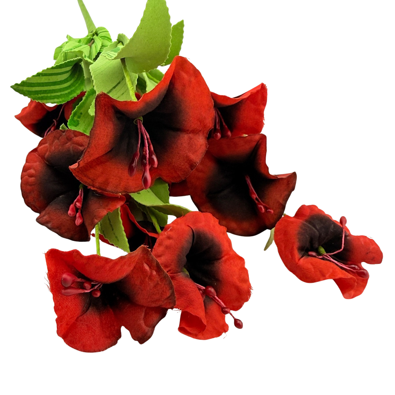 Red Poppy Stem
