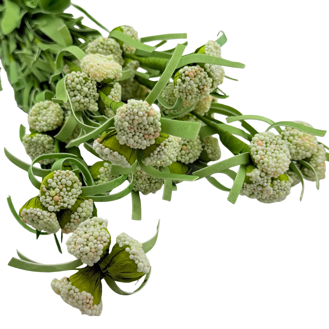 White Button Stem