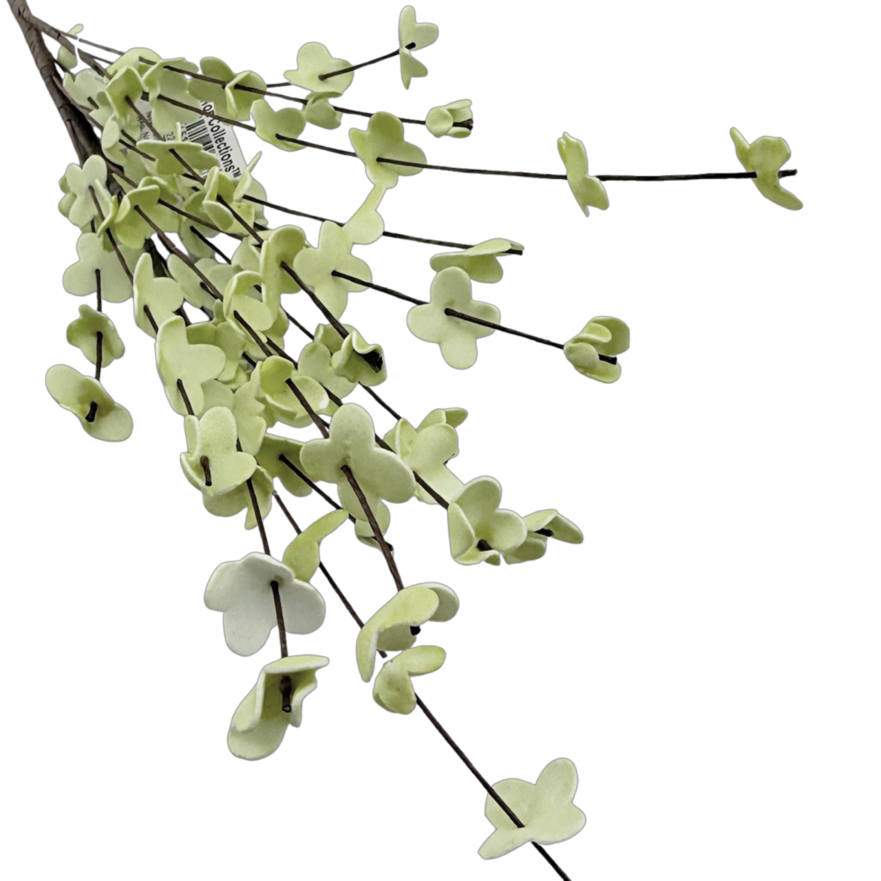White Wispy Flower Stem
