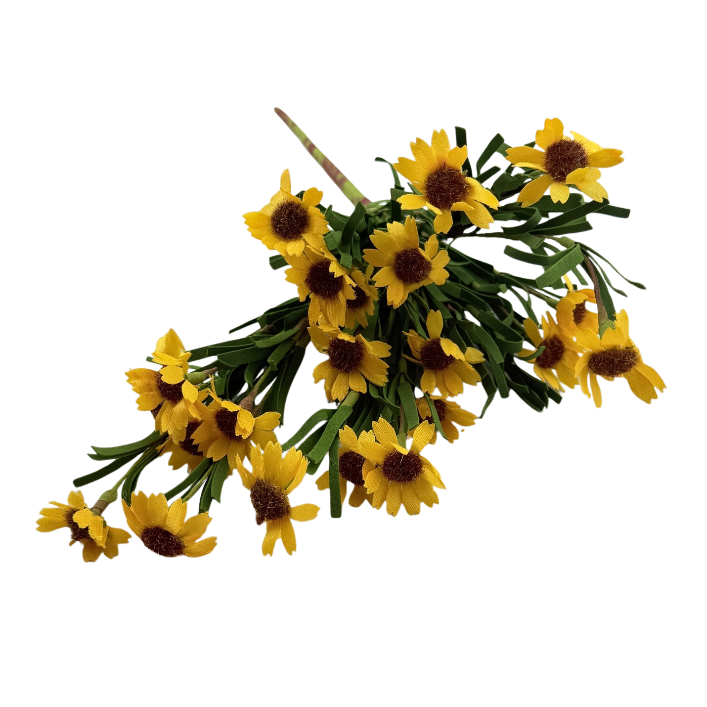 Yellow Daisy Stem