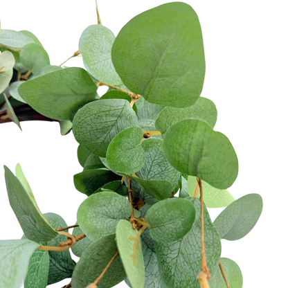 Basic Eucalyptus Large Ring