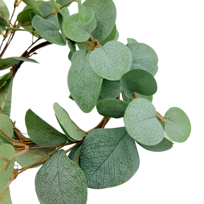 Basic Eucalyptus Small Ring