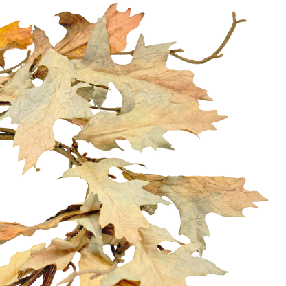 Fall Oak Leaf Candle Ring
