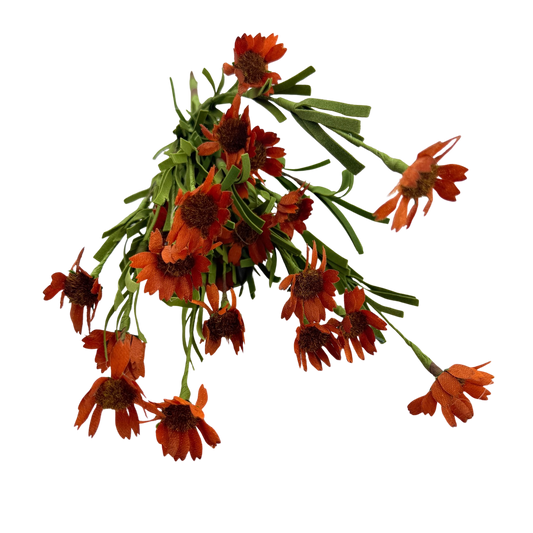Orange Daisy Stem