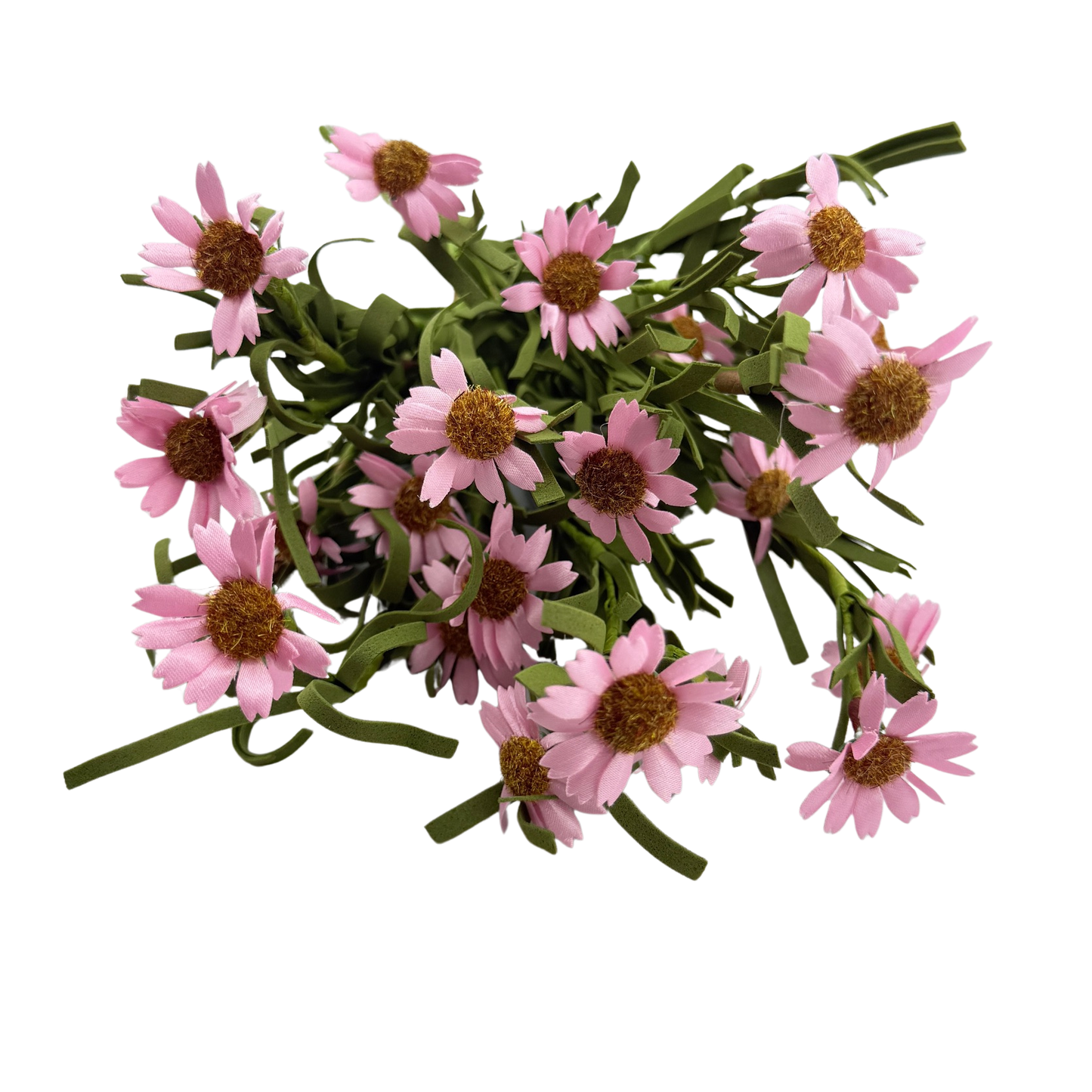Pink Daisy Stem
