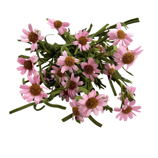 Pink Daisy Stem