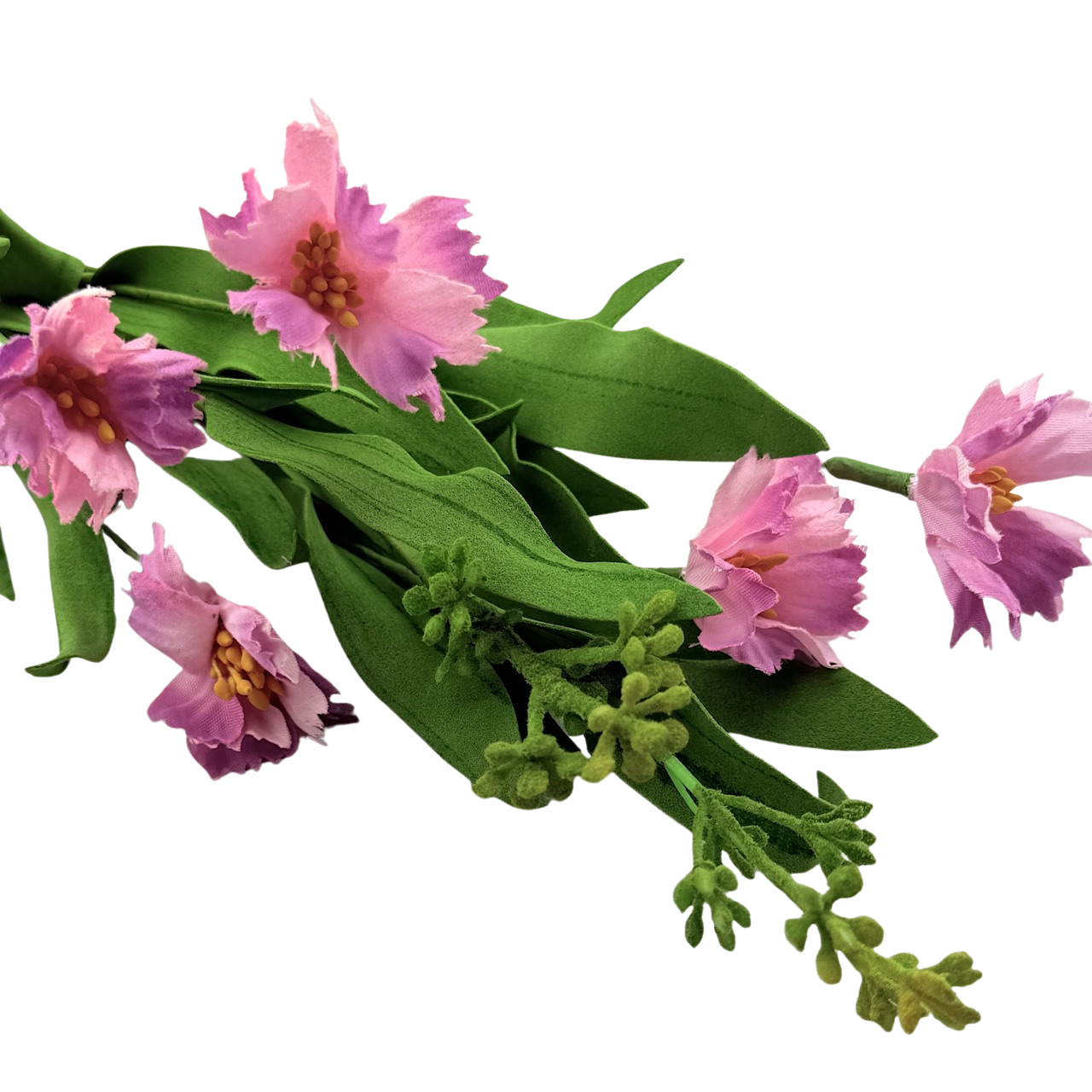 Pink Dianthus Stem