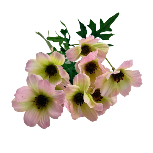 Pink Dogwood Bundle