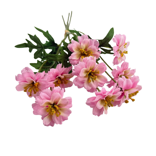 Pink Mini Carnation Bundle