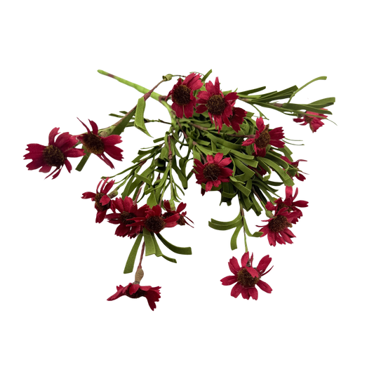 Red Daisy Stem