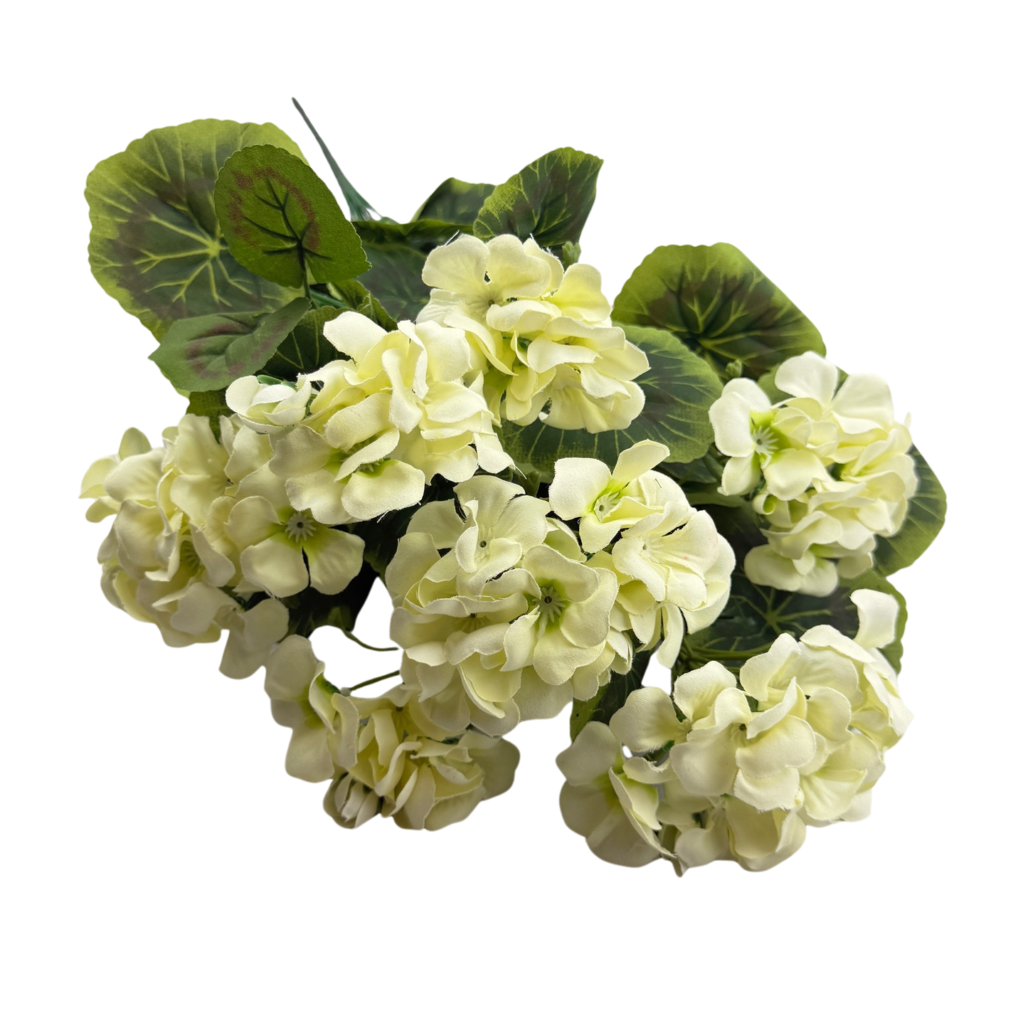 White Multi-Geranium Stem