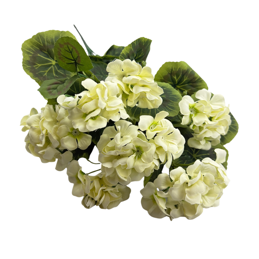 White Multi-Geranium Stem