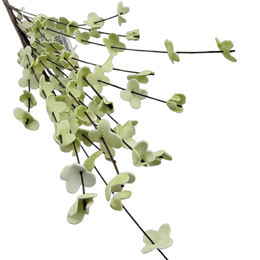 White Wispy Flower Stem