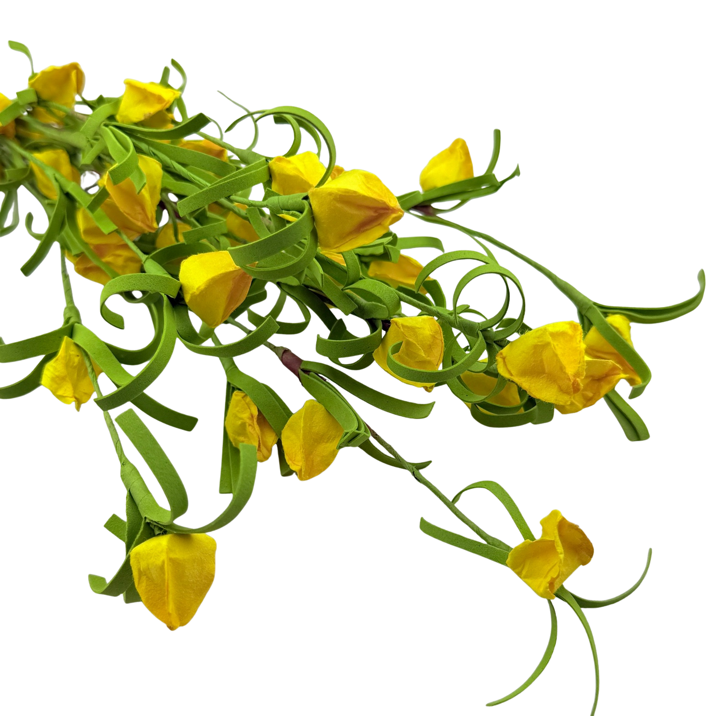 Yellow Japanese Lantern Stem
