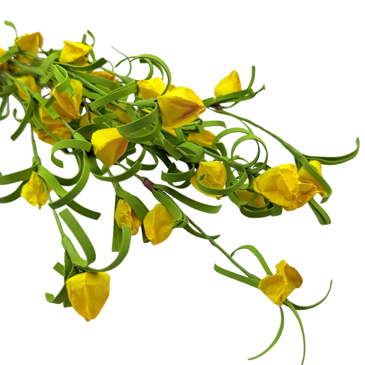 Yellow Japanese Lantern Stem